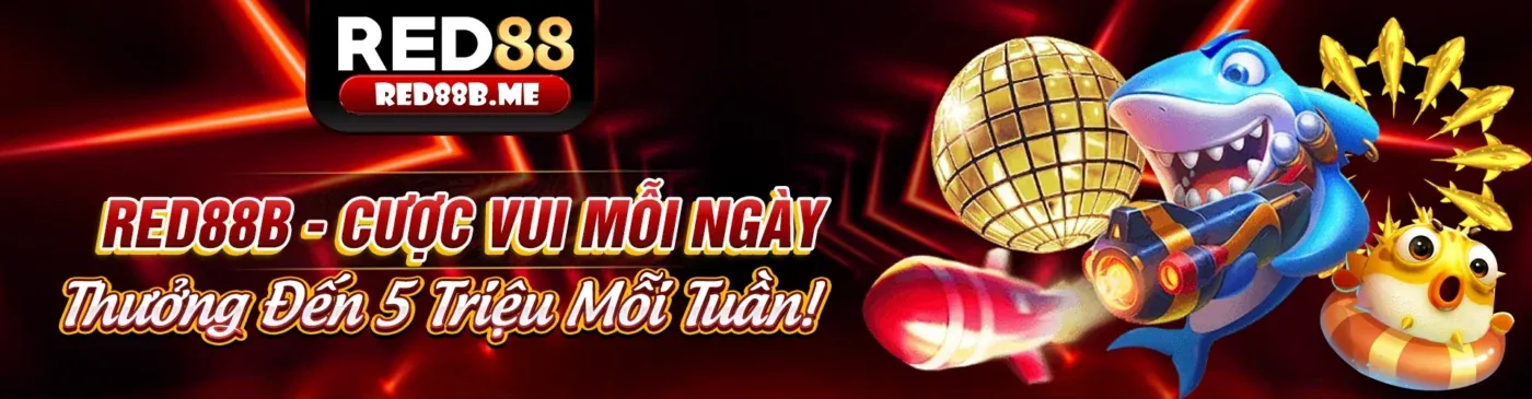 Tải ứng dụng km88 abcvip ngay hôm nay