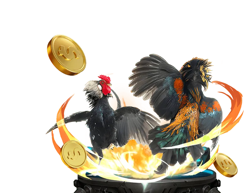 Trò chơi đá gà trực tuyến tại km88 abcvip